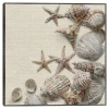 Kirkland's Linen Shell Collection Framed Canvas Art Print In Multi