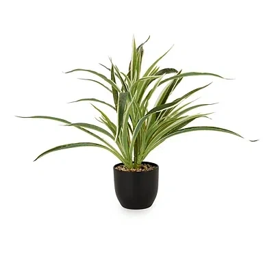 Kirkland's Long Stem Greenery In Black Pot
