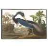 Kirkland's Louisiana Heron Framed Canvas Art Print In Multi