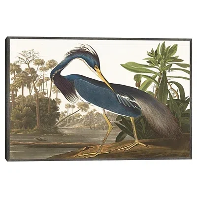 Kirkland's Louisiana Heron Framed Canvas Art Print In Multi