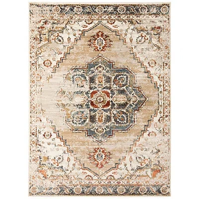 Kirkland's Medallion Area Rug In Neutral