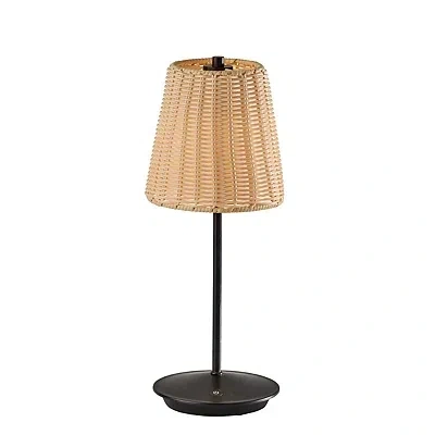 Kirkland's Metal Rattan Shade Cordless Table Lamp In Black