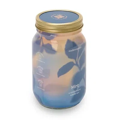 Kirkland's Mint Garden Jar Hydroponic Grow Kit In Green