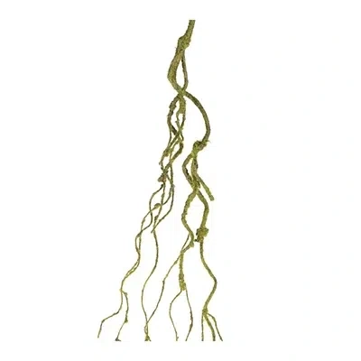 Kirkland's Mossy Twig Vines In Green
