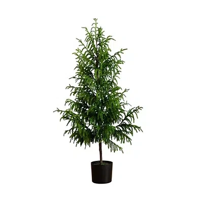 Kirkland's Norfolk Pine Potted Tree In Green