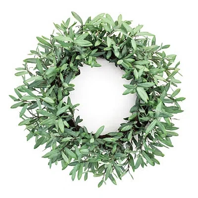 Kirkland's Olive Leaf Wreath In Green