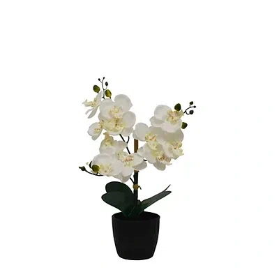 Kirkland's Orchid Arrangement In Black Decorative Pot In Multi