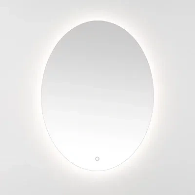 Kirkland's Oval Nolan Led Wall Mirror In Multi