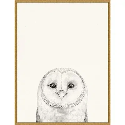 Kirkland's Owl Mug Shot Framed Canvas Art Print In Multi