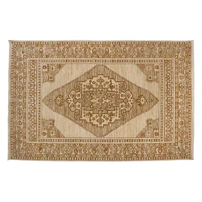 Kirkland's Palmer Area Rug In Brown