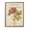 Kirkland's Peony Book Page Framed Art Print In Multi