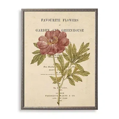 Kirkland's Peony Book Page Framed Art Print In Multi