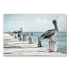 Kirkland's Perched Pelican Canvas Art Print In Multi