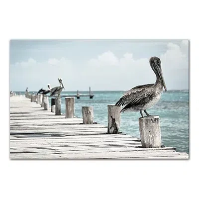 Kirkland's Perched Pelican Canvas Art Print In Multi