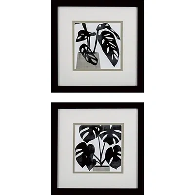 Kirkland's Plantling I Framed Art Prints In Multi