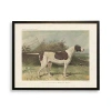Kirkland's Pointer Bookplate Framed Art Print In Multi