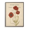 Kirkland's Poppies Book Page Framed Art Print In Neutral