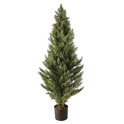 Kirkland's Potted Arborvitae Christmas Tree In Green