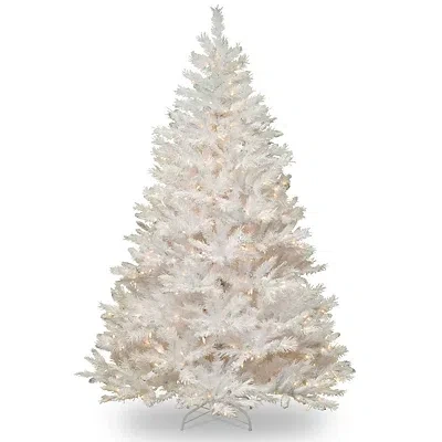 Kirkland's Pre-lit White Winchester Pine Christmas Tree