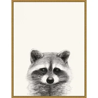 Kirkland's Raccoon Mug Shot Framed Canvas Art Print In Multi