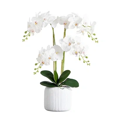 Kirkland's Real Touch Faux Orchid Arrangement In White