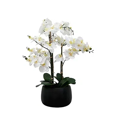 Kirkland's Real Touch Orchid Arrangement In Black Pot In Multi
