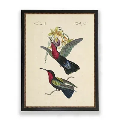 Kirkland's Red Vintage Hummingbirds Framed Art Print In Multi