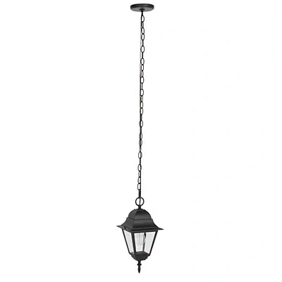 Kirkland's Rhion Black Outdoor Pendant Light