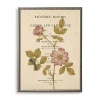 Kirkland's Rose Book Page Framed Art Print In Multi