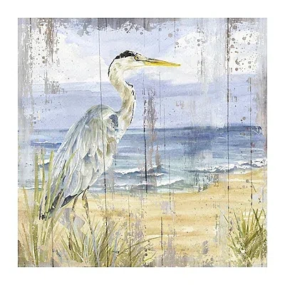 Kirkland's Rustic Birds Of The Coast I Canvas Art Print In Multi