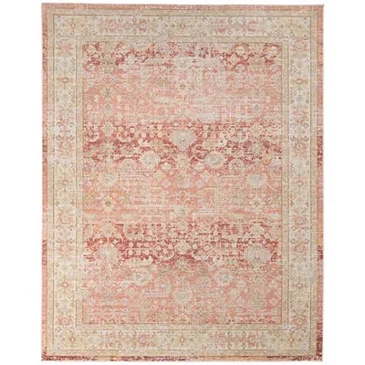 Kirkland's Salmon Vintage Border Area Rug In Pink