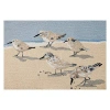 Kirkland's Sandpipers Hooked Wool Accent Rug In Multi