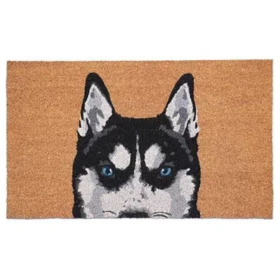 Kirkland's Siberian Husky Doormat In Multi