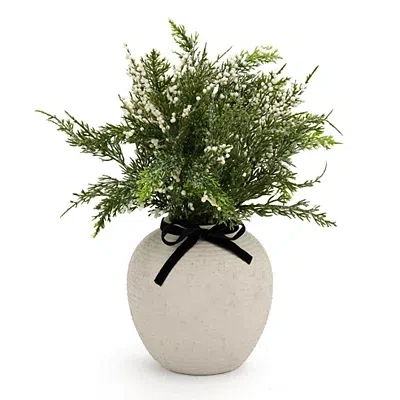 Kirkland's Snowy White Berry Arrangement With Black Bow In Multi