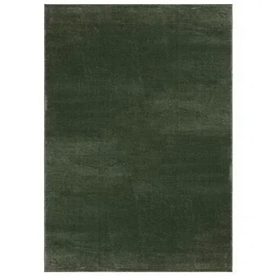 Kirkland's Solid Green Revive Area Rug