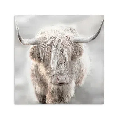 Kirkland's Solo Highland Cow Canvas Art Print In Gray