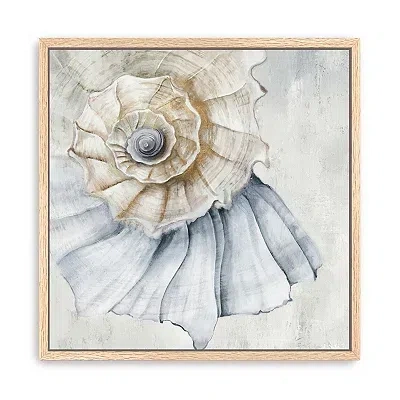 Kirkland's Spiral Shell Framed Canvas Art Print In Multi