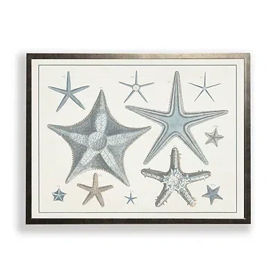 Kirkland's Starfish Collage Bronze Framed Art Print In White