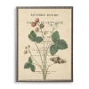 Kirkland's Strawberries Book Page Framed Art Print In Multi