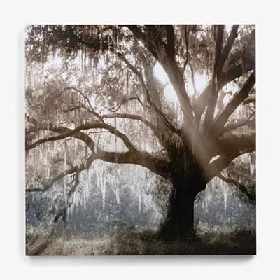 Kirkland's Sunshine Tree Canvas Art Print In Brown