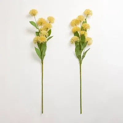 Kirkland's Thistle Stems In Multi