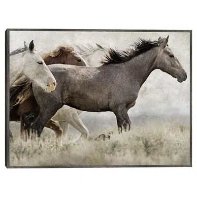 Kirkland's Thunder Ridge Distressed Framed Canvas Art Print In Multi