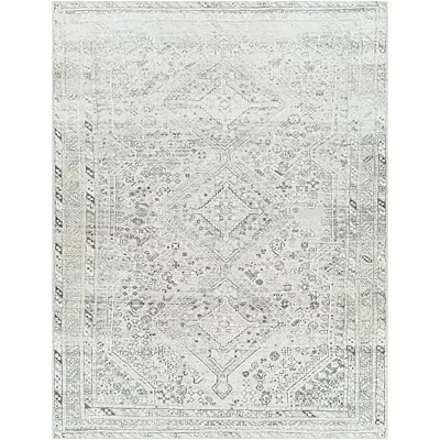 Kirkland's Traditional Washable Area Rug In White