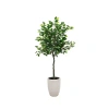 Kirkland's Tree In White Ceramic Pot In Green