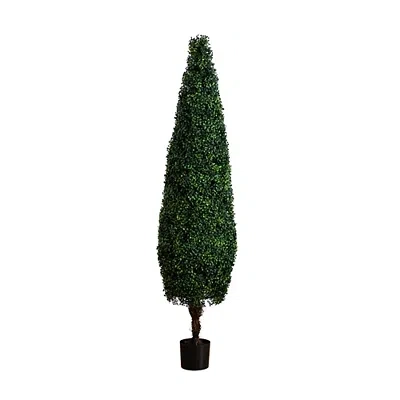 Kirkland's Trimmed Boxwood In Black Planter