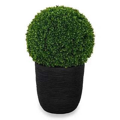 Kirkland's Uv Boxwood Ball Topiary In Black Pot