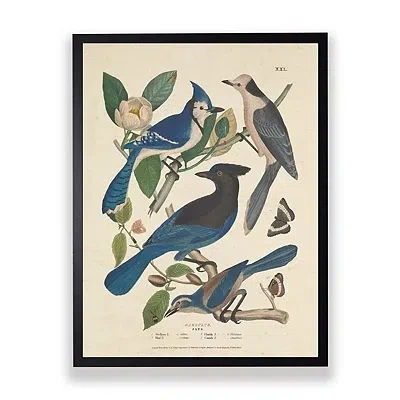 Kirkland's Vintage Blue Jays Birds Framed Art Print In Multi