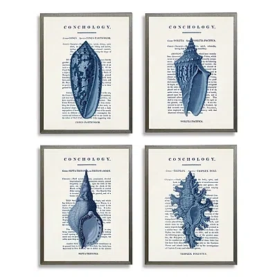 Kirkland's Vintage Blue Shells Framed Art Prints In White