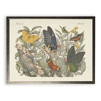 Kirkland's Vintage Butterfly Bookplate Framed Art Print In Multi