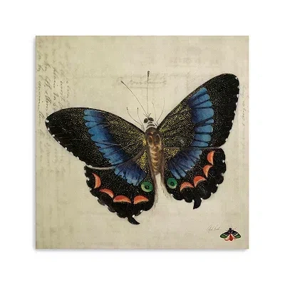Kirkland's Vintage Butterfly Canvas Art Print In Multi